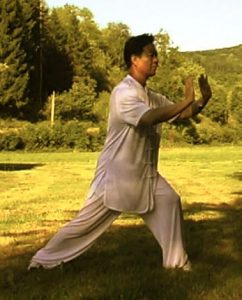 Chansigong Taiji Qigong Zhengxudong