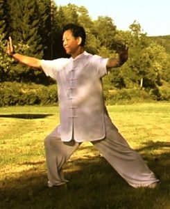 Chansigong Taiji Qigong Zhengxudong2