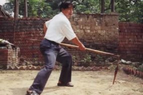 Chen Xiaoxing Baton à deux sections